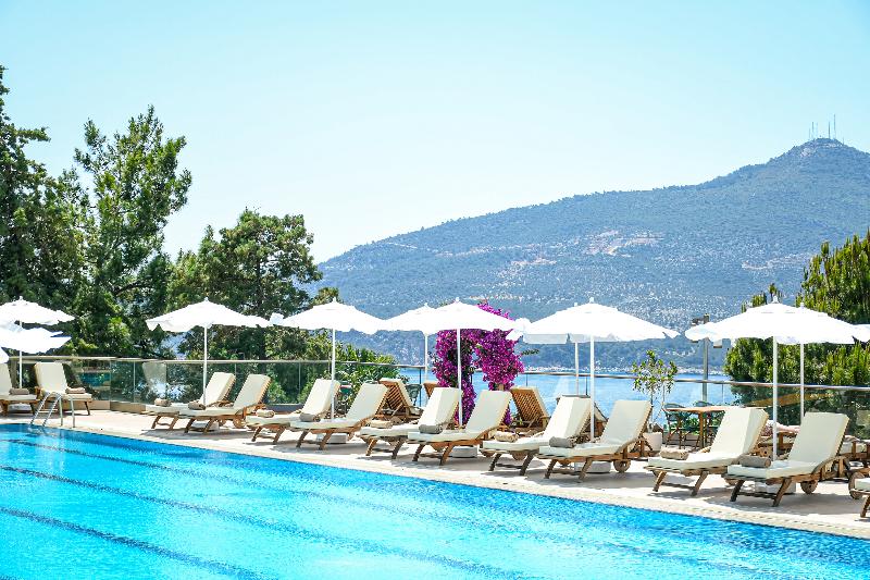 Happy Hotel - Genel