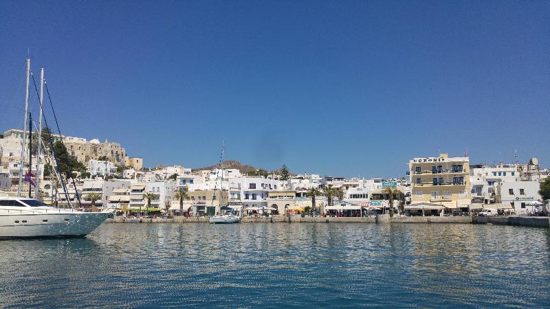 Coronis - Genel