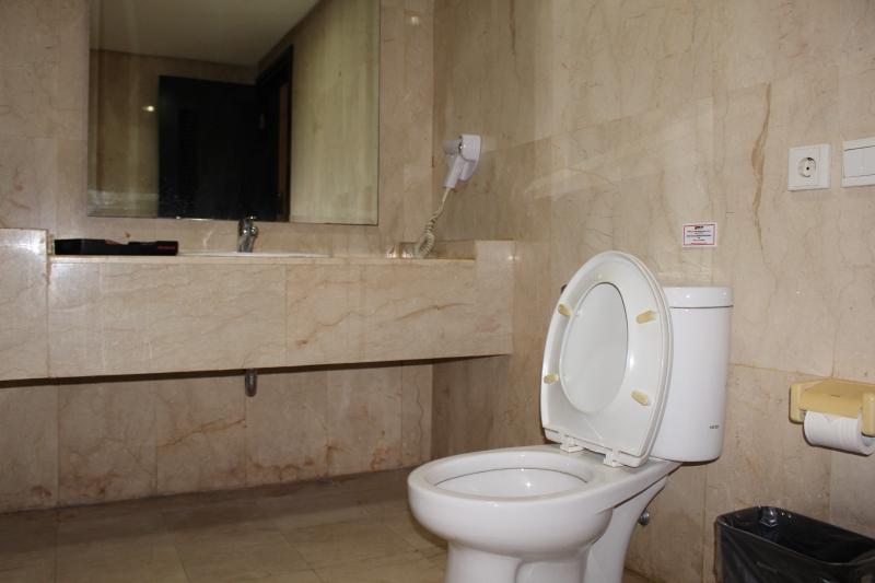 Grand Asia Hotel Jakarta - Oda