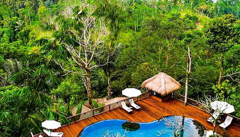 Green Forest Resort & Wedding by Horison fotoÄŸrafÄ±