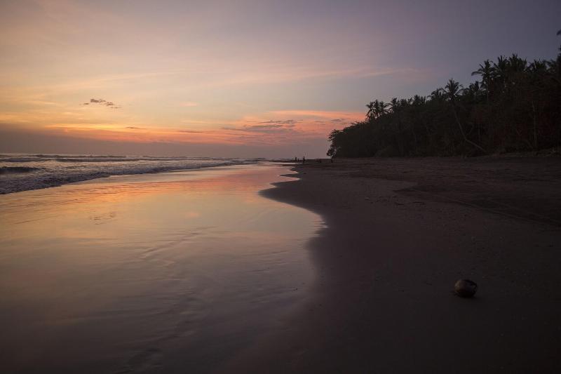Kelapa Retreat and Spa - Aktivite