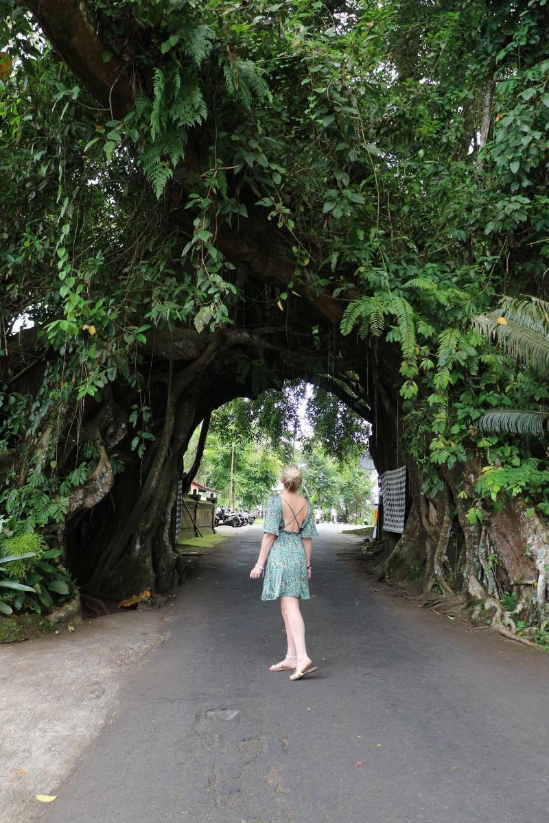 Kelapa Retreat and Spa - Genel