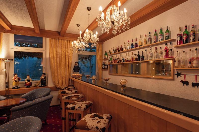 Minotel Bellevue - Bar