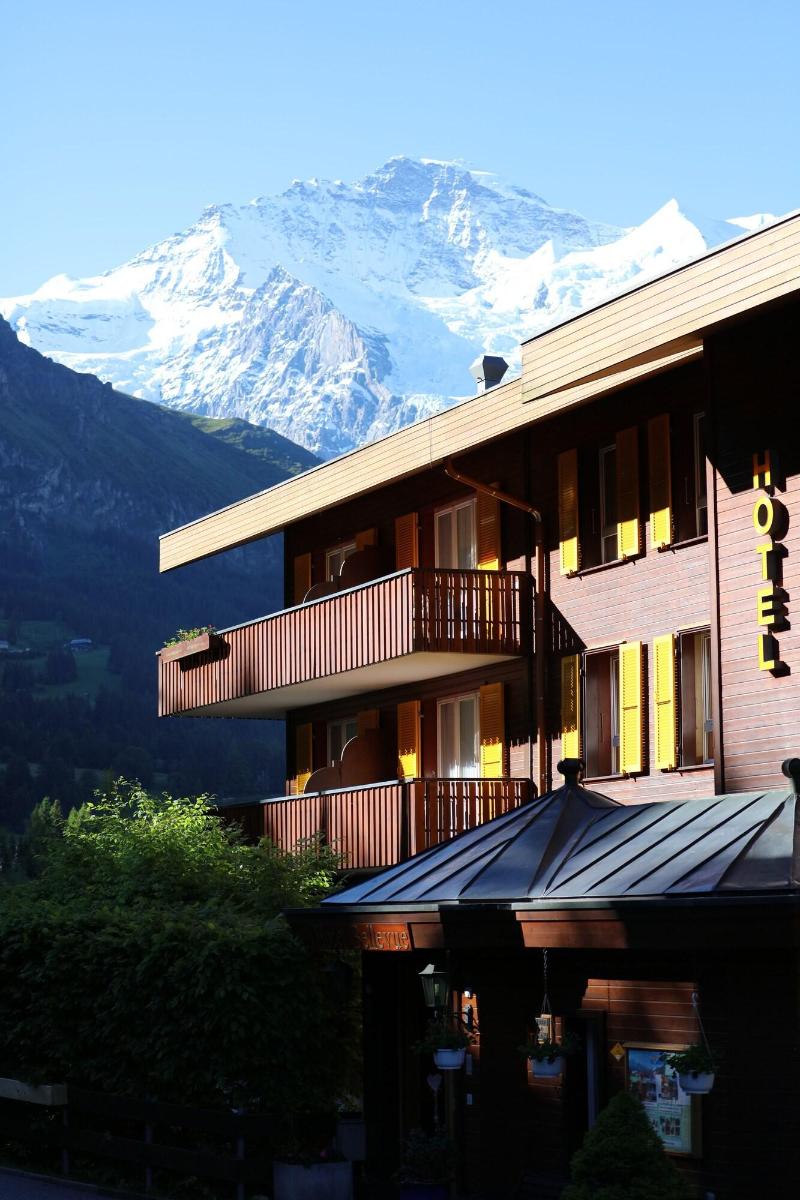 Minotel Bellevue - Genel