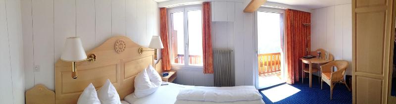 Minotel Bellevue - Oda