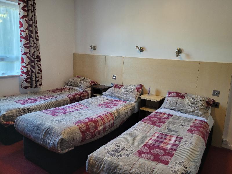 Gatwick Whitehouse Hotel - Oda