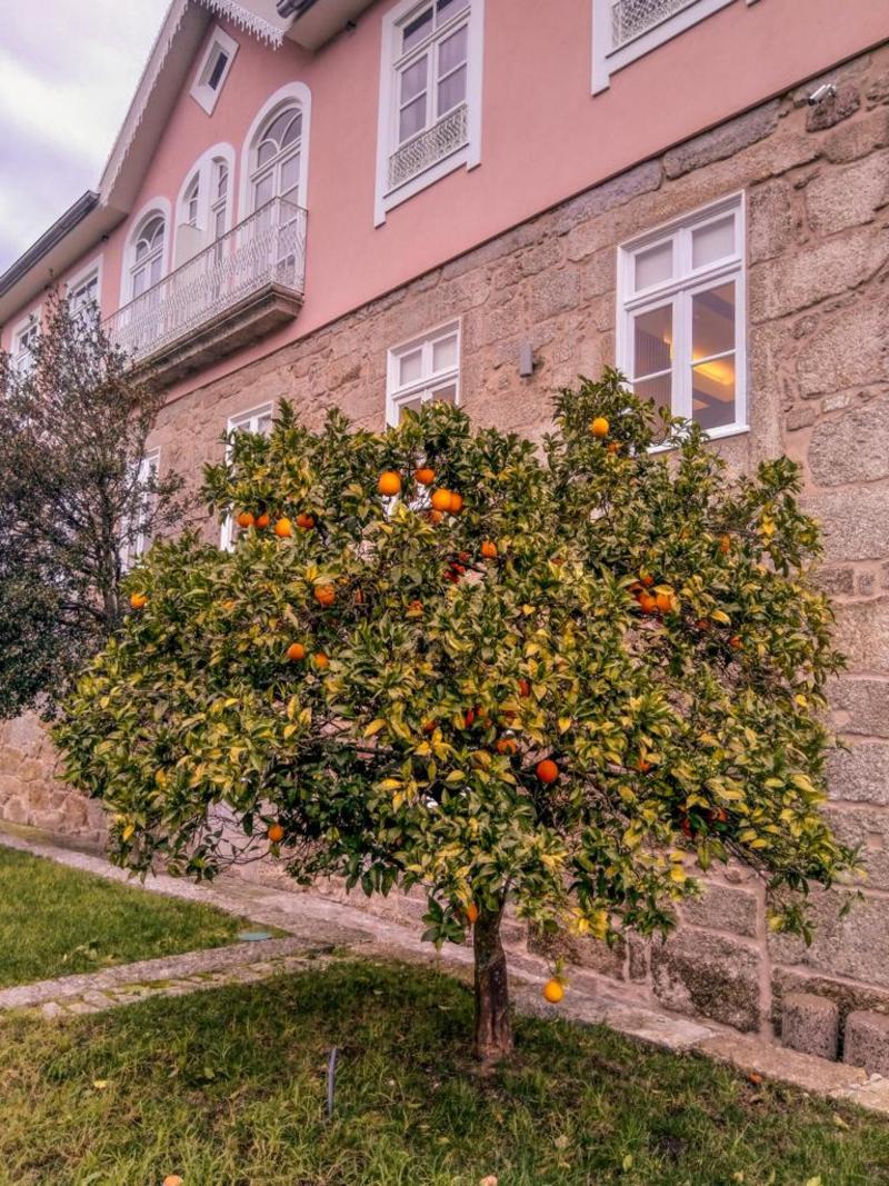 Ribeira Collection Hotel by Piamonte Hotels - Genel