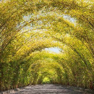 W Bali Seminyak fotoÄŸrafÄ±