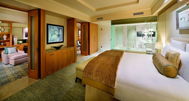 The Ritz-Carlton, Dubai Intl Financial Centre - Genel