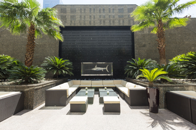 The Ritz-Carlton, Dubai Intl Financial Centre - Teras