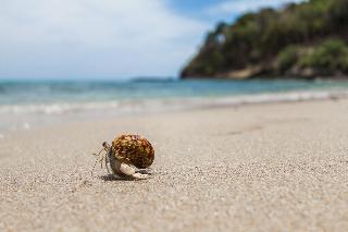 Anda Lanta Resort fotoÄŸrafÄ±