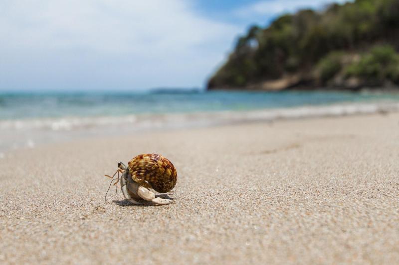 Anda Lanta Resort - Genel