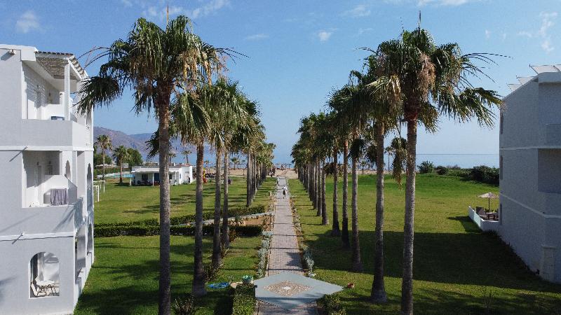 Delfina Tropic Beach - Genel
