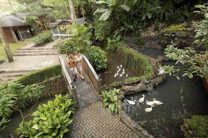 Padma Hotel Bandung - Aktivite