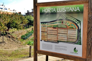 Lusitânia fotoÄŸrafÄ±