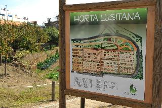 Lusitânia fotoÄŸrafÄ±