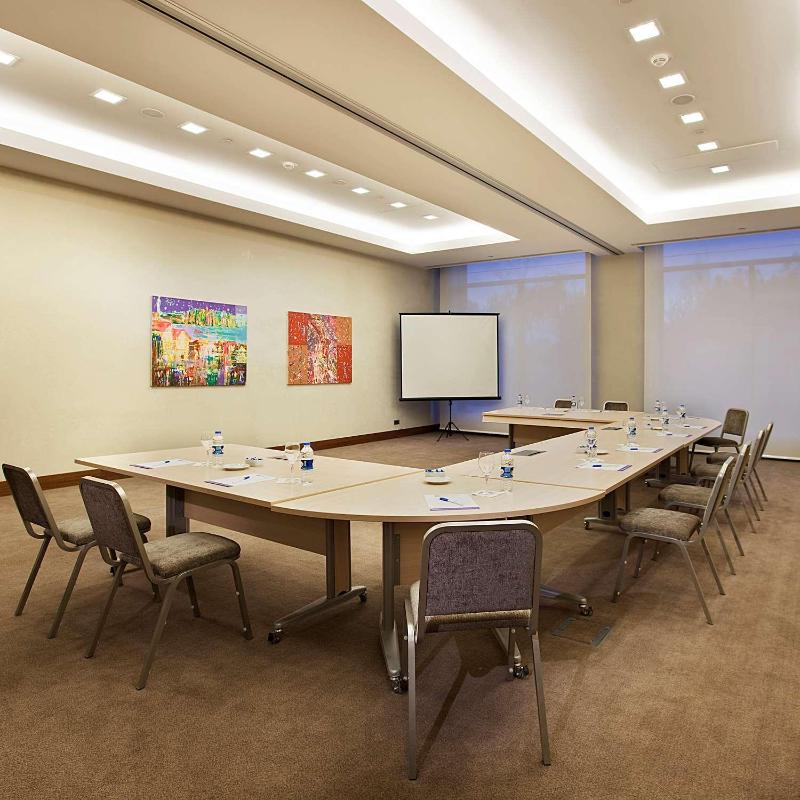 Hilton Garden Inn Konya, Turkey - Toplantı