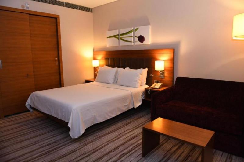 Hilton Garden Inn Konya, Turkey - Oda