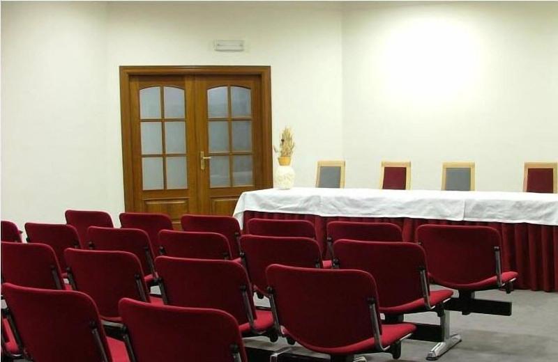 Oca Douro Valley Hotel & Spa - Toplantı