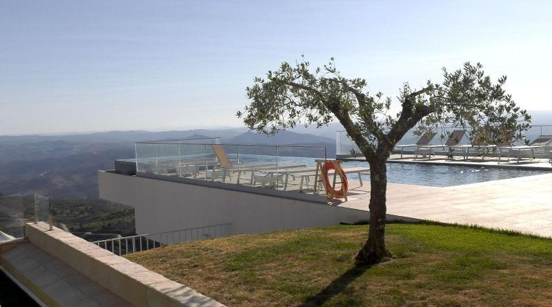 Oca Douro Valley Hotel & Spa - Havuz