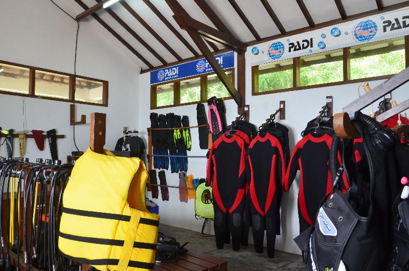 Cocotinos Sekotong Lombok - Aktivite