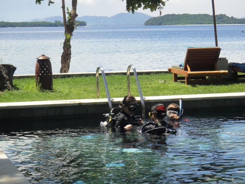 Cocotinos Sekotong Lombok - Havuz