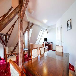 Clarion Grandhotel Zlaty Lev fotoÄŸrafÄ±