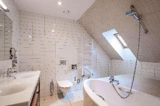 Clarion Grandhotel Zlaty Lev fotoÄŸrafÄ±
