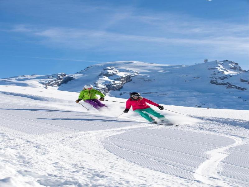 H+ Hotel Sonnwendhof Engelberg - Genel