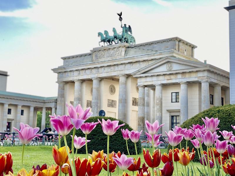 JW Marriott Hotel Berlin - Genel