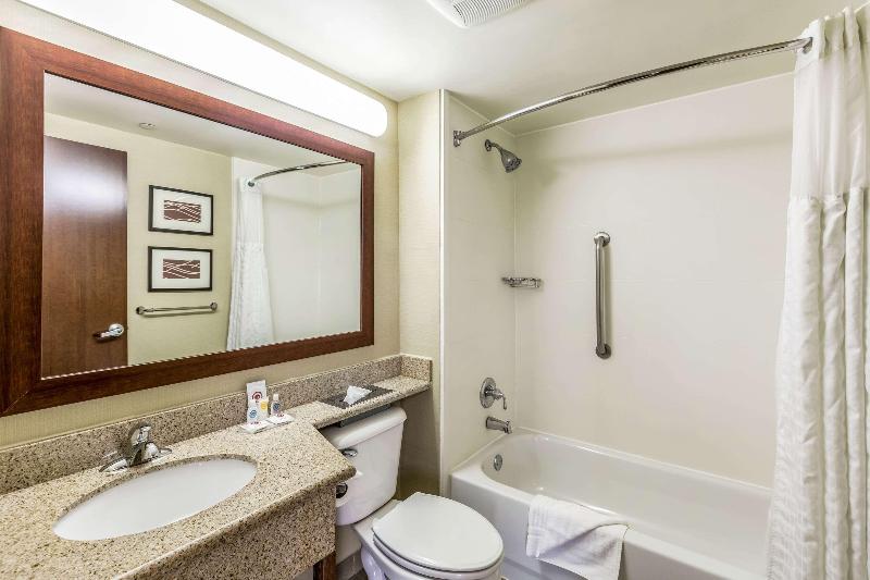 Comfort Inn Long Island - Oda
