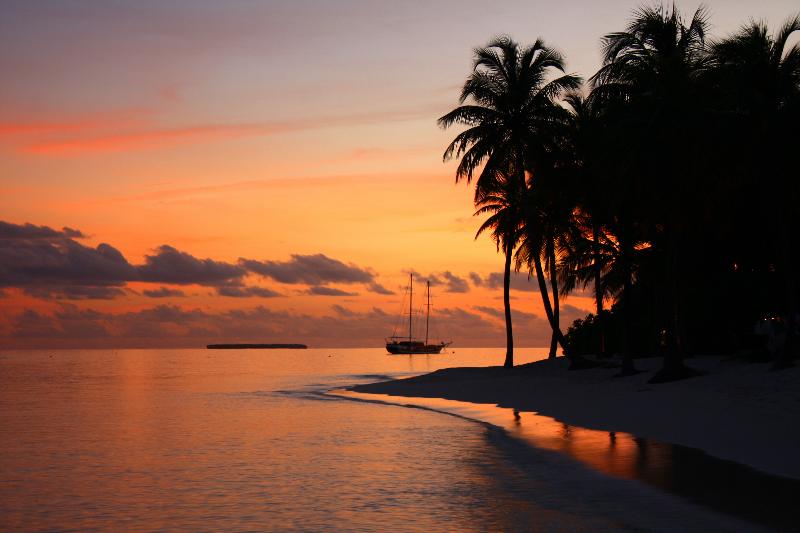 V Villas Maldives at Mirihi - MGallery Collection - Aktivite