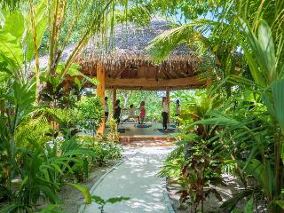 V Villas Maldives at Mirihi - MGallery Collection fotoÄŸrafÄ±