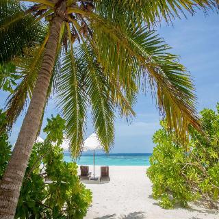 V Villas Maldives at Mirihi - MGallery Collection fotoÄŸrafÄ±