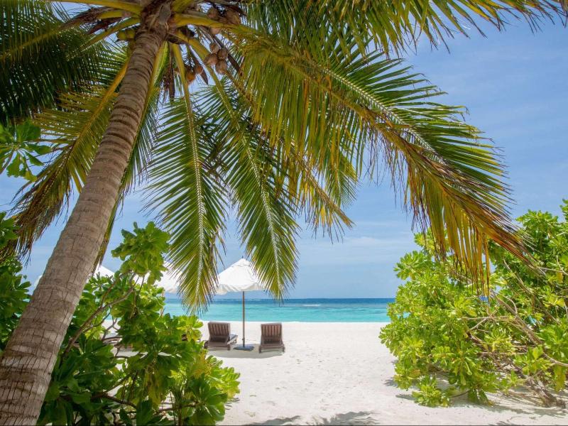 V Villas Maldives at Mirihi - MGallery Collection - Oda