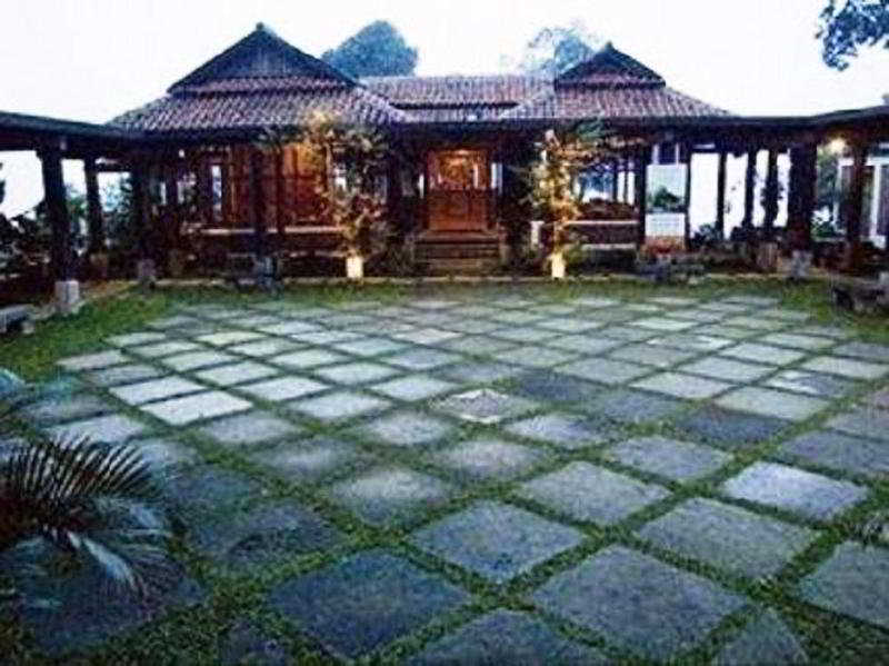 Dago Highland fotoÄŸrafÄ±