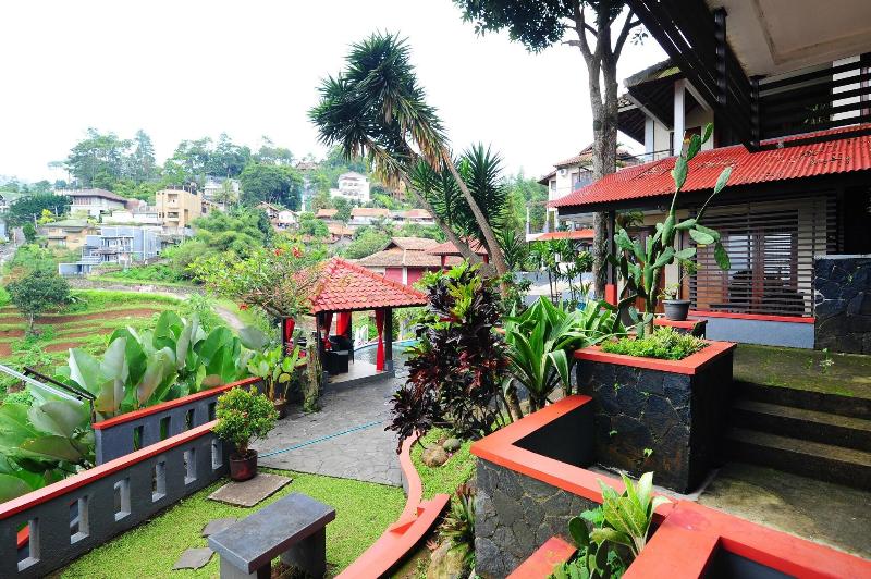 Dago Highland - Genel