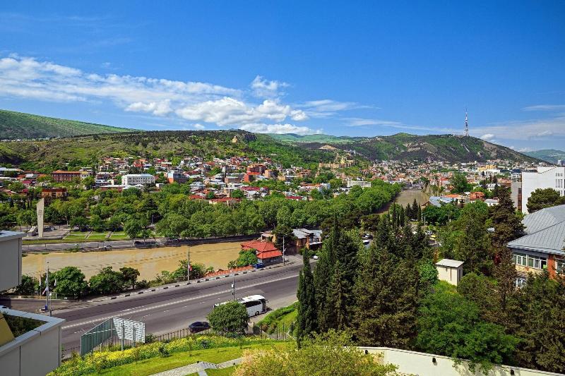 Sheraton Grand Tbilisi Metechi Palace - Lobi