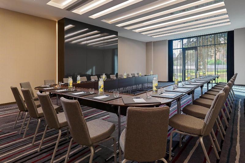 Sheraton Grand Tbilisi Metechi Palace - Toplantı