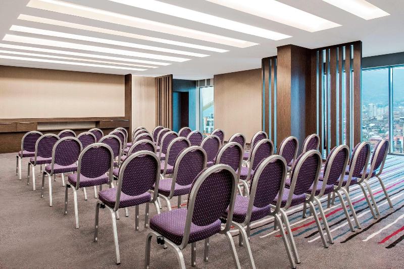 Sheraton Grand Tbilisi Metechi Palace - Toplantı