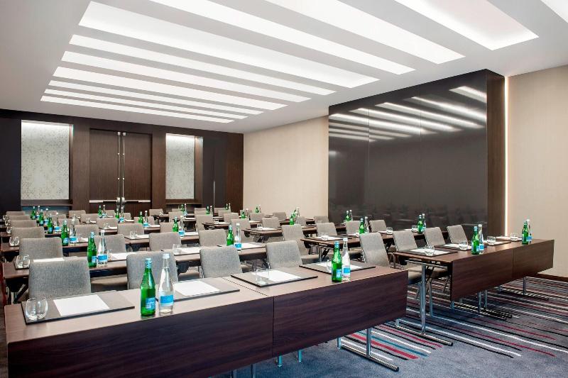 Sheraton Grand Tbilisi Metechi Palace - Toplantı