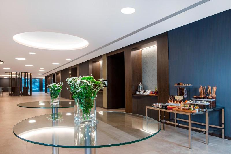 Sheraton Grand Tbilisi Metechi Palace - Toplantı