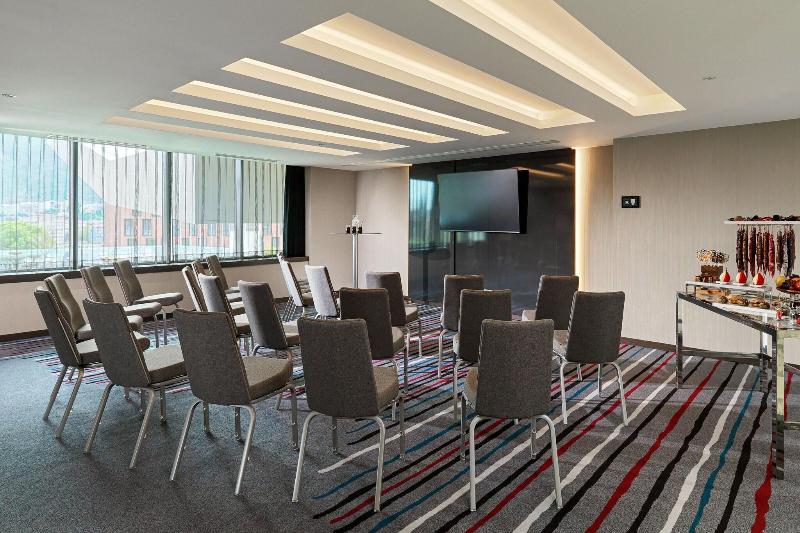Sheraton Grand Tbilisi Metechi Palace - Toplantı