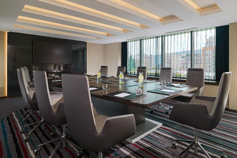 Sheraton Grand Tbilisi Metechi Palace - Toplantı