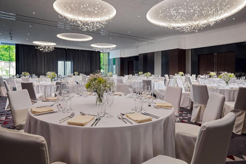 Sheraton Grand Tbilisi Metechi Palace - Toplantı