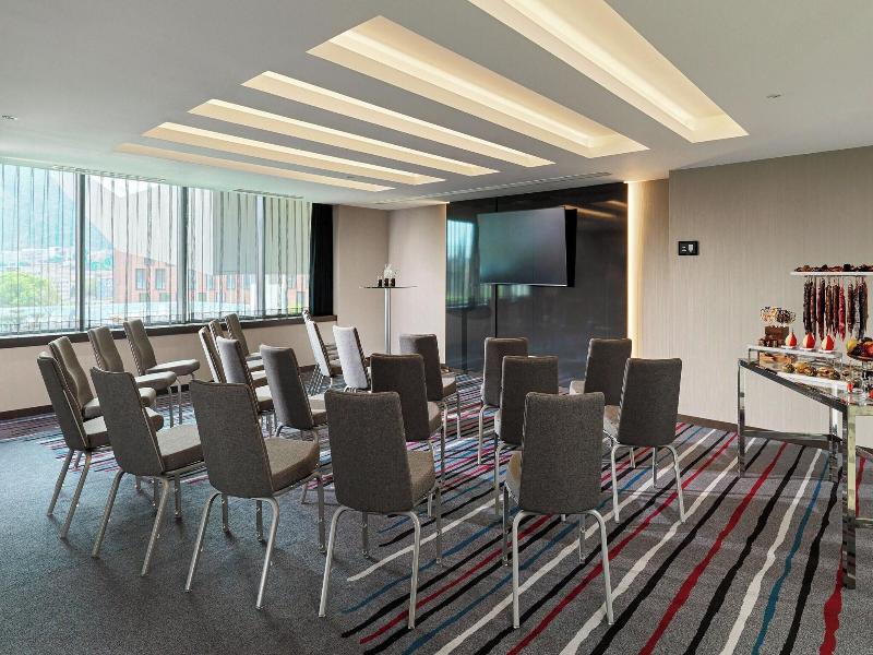 Sheraton Grand Tbilisi Metechi Palace - Toplantı