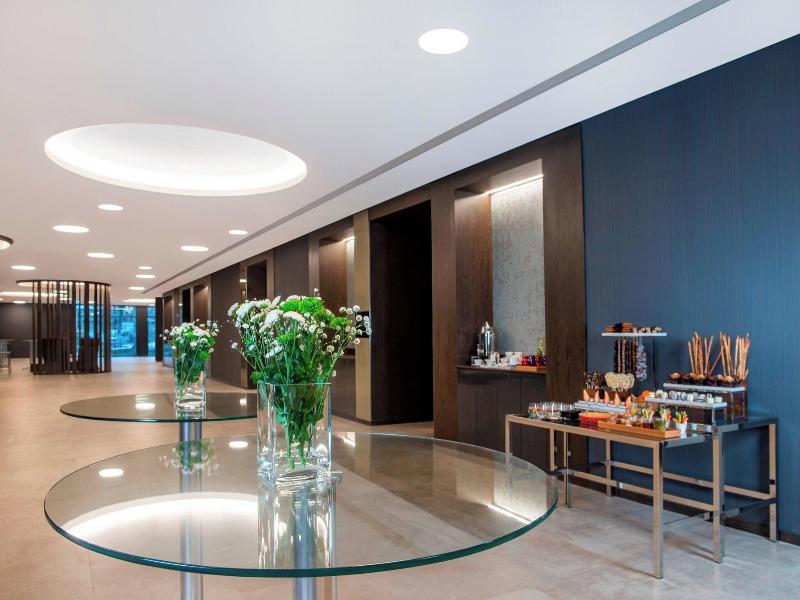 Sheraton Grand Tbilisi Metechi Palace - Toplantı