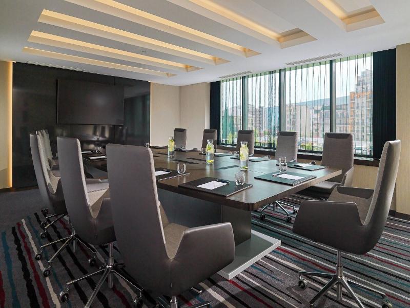 Sheraton Grand Tbilisi Metechi Palace - Toplantı