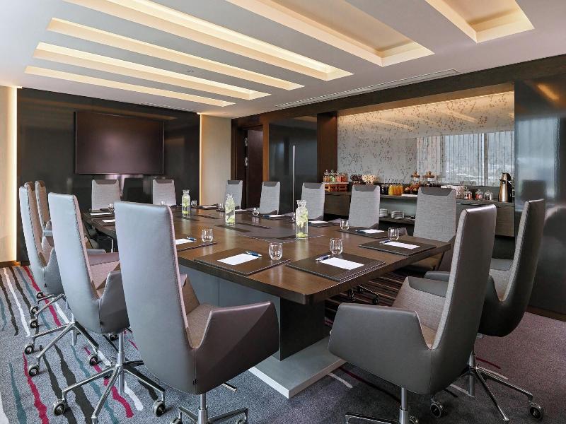 Sheraton Grand Tbilisi Metechi Palace - Toplantı
