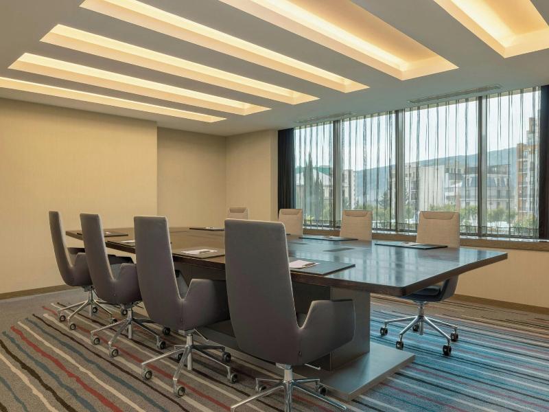 Sheraton Grand Tbilisi Metechi Palace - Toplantı